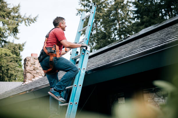 Best Roof Maintenance and Cleaning  in Iona, ID
